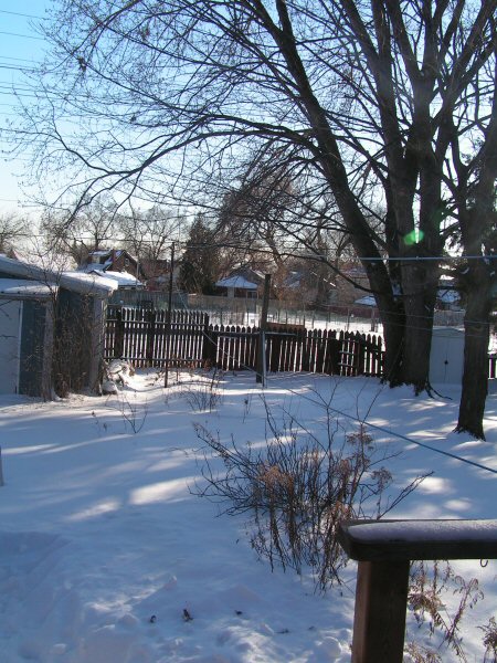 2008_dec_snow.jpg