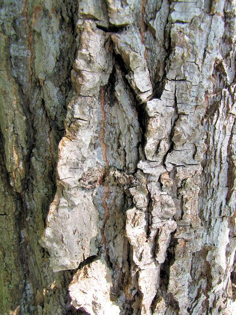 texture02.jpg