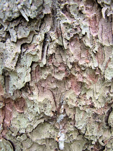 texture07.jpg