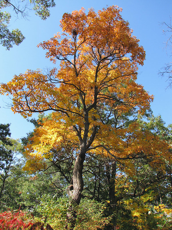 2012_10_highpark04.jpg