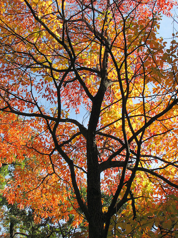 2012_10_highpark06.jpg