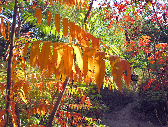 2012_10_highpark07.jpg