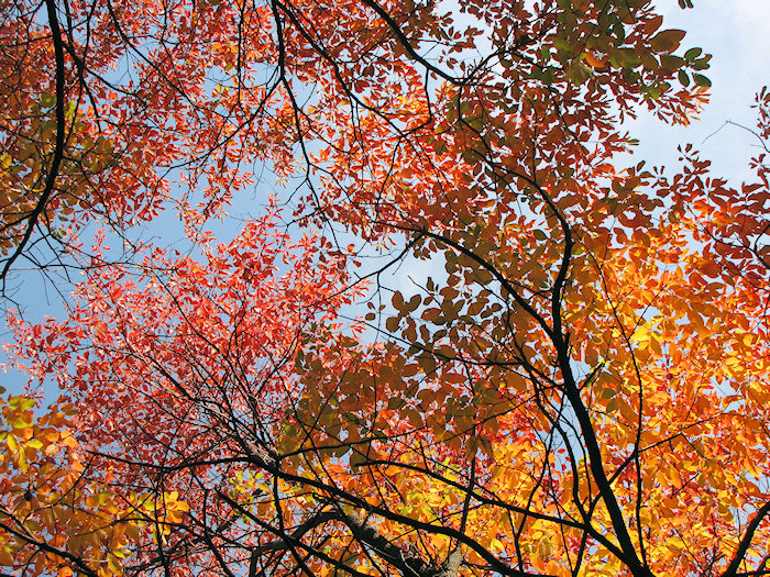 2012_10_highpark08.jpg