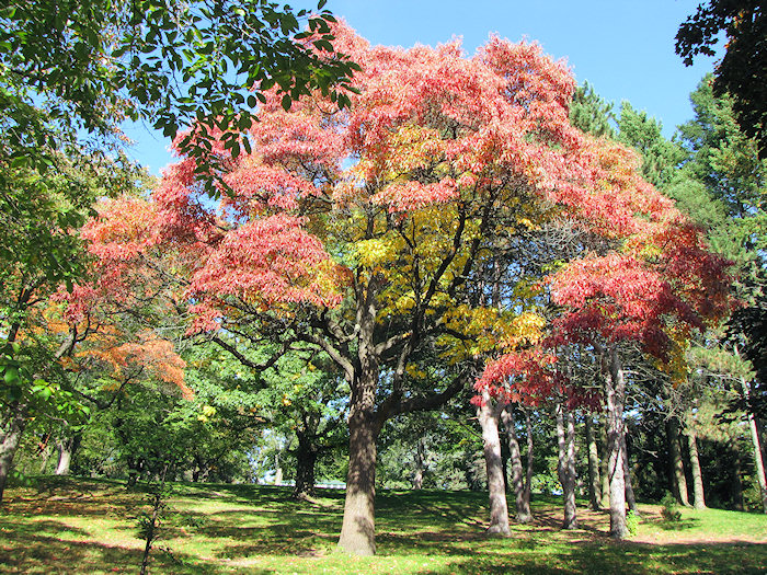 2012_10_highpark10.jpg