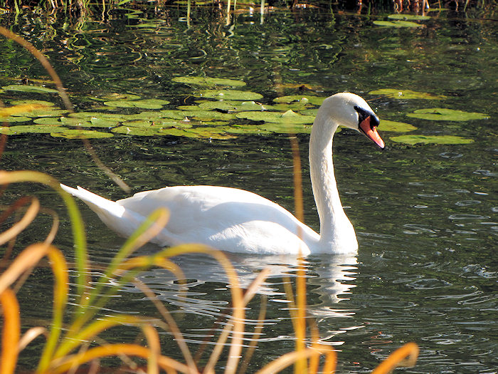 2012_10_highpark12.jpg