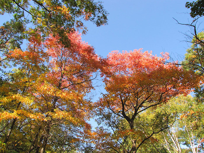 2012_10_highpark14.jpg