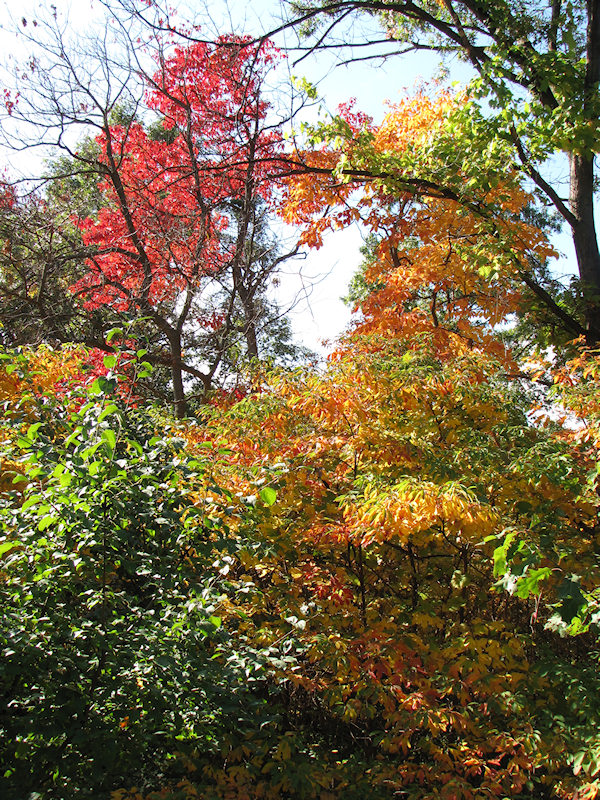 2012_10_highpark16.jpg