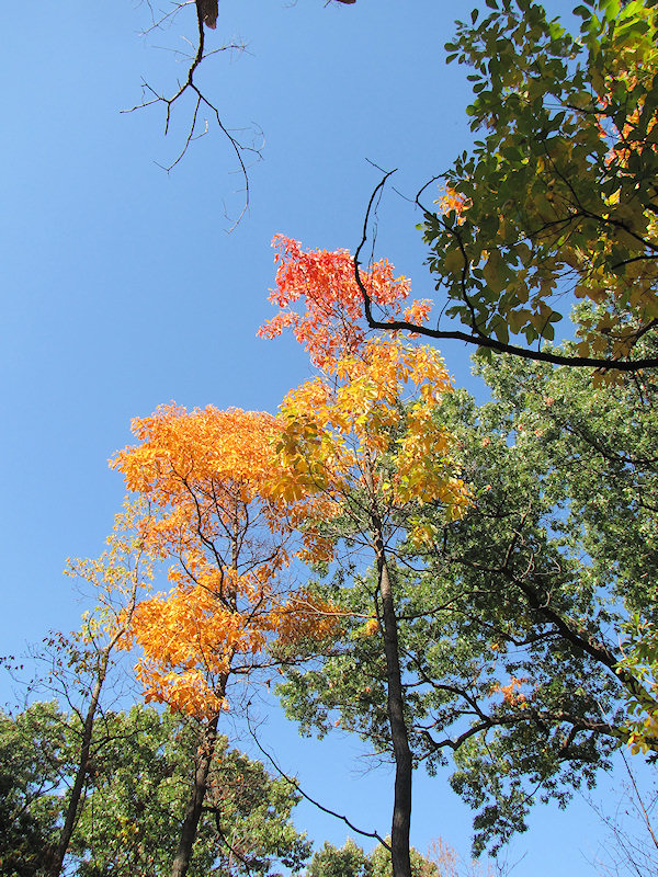 2012_10_highpark17.jpg