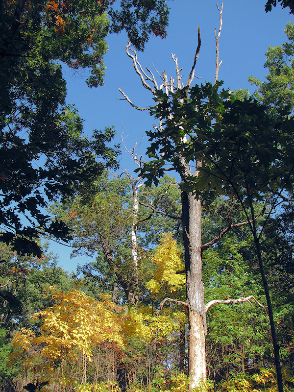 2012_10_highpark19.jpg