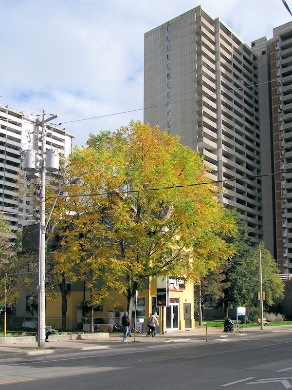 city36_sherbourne.jpg